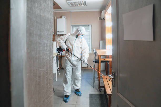 Best Mold Remediation for Healthcare Facilities  in North Arlington, NJ