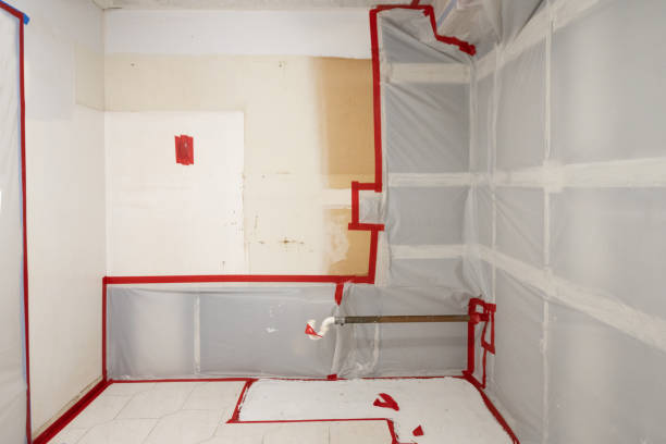 Best Basement Mold Removal  in North Arlington, NJ